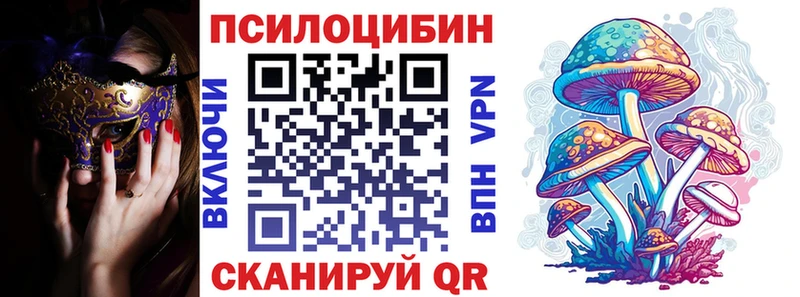 Купить где  Моршанск  Галлюциногенные грибы Magic Shrooms 